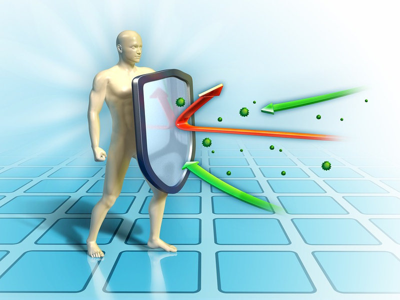 5 Ways to Support Your Immune System Using Nutrition